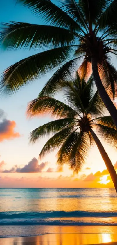 Tropical beach sunset with silhouetted palm trees over serene ocean waves.