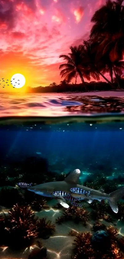 Tropical sunset with palm trees and ocean coral in vibrant colors.