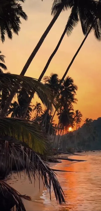 Tropical beach sunset with palm trees and orange sky.