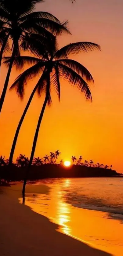 Tropical sunset beach with palm trees at dusk.