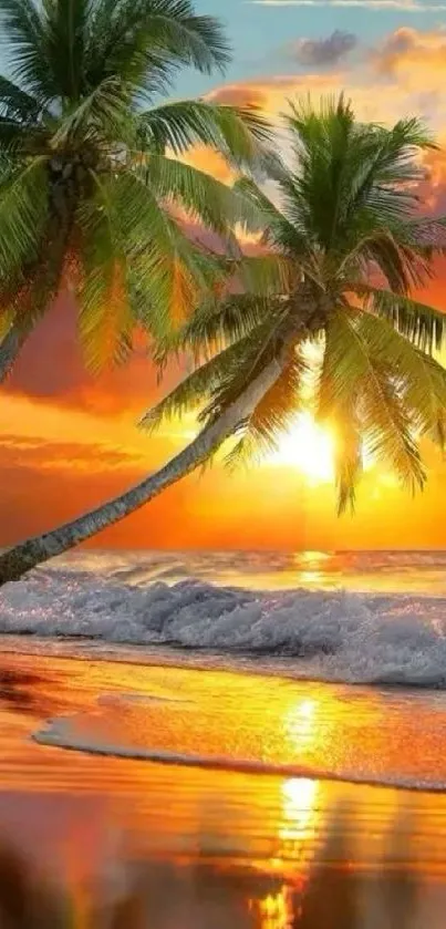 Tropical beach sunset with palm trees and ocean waves.