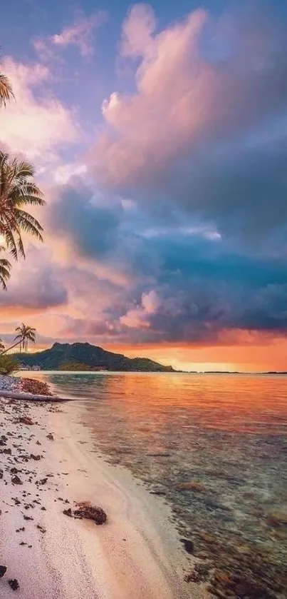 Tropical beach with palm trees at sunset.