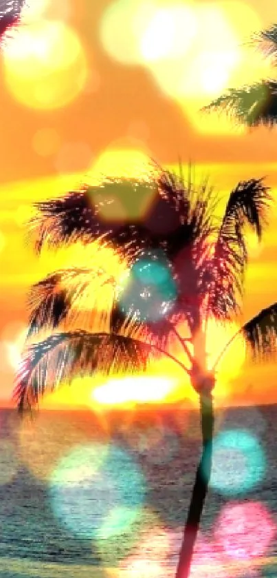 Tropical beach sunset with palm trees silhouetted against an orange sky.