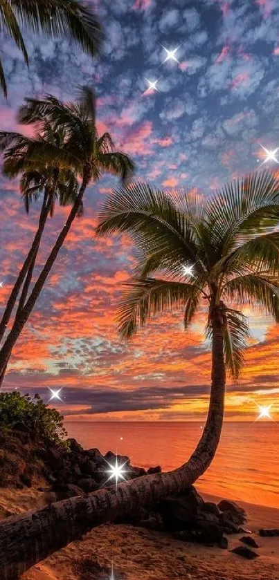 Tropical beach at sunset with palms silhouetted against a vibrant sky.