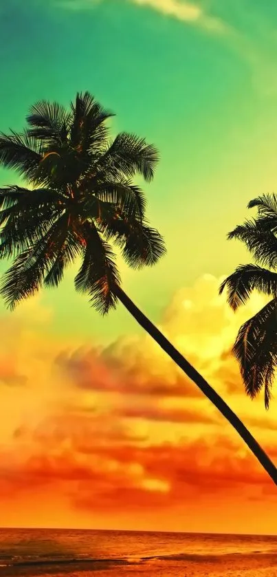 Tropical sunset beach wallpaper with palm trees and ocean.