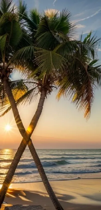 Tropical beach with palm trees at sunset.