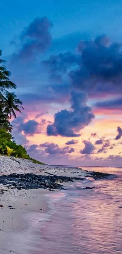 Tropical beach at sunset with palm trees and vibrant colors.