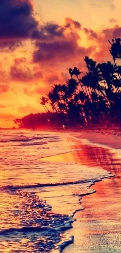 Tropical sunset with palm trees by the beach and vibrant colors.