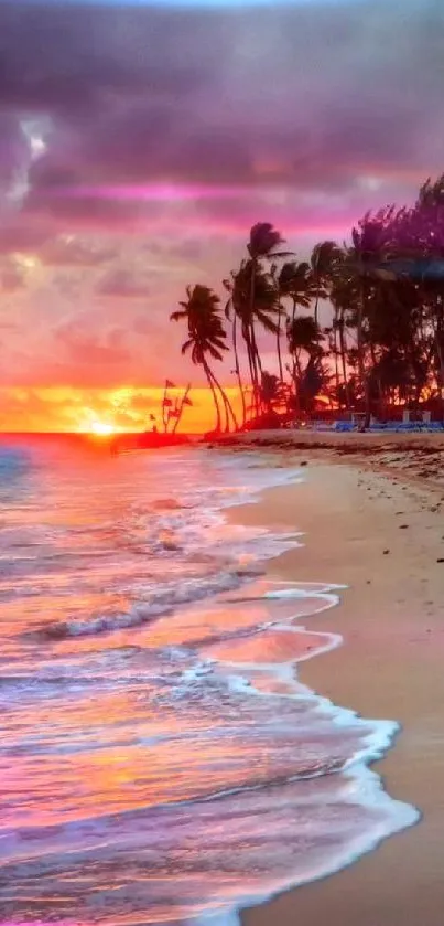 Tropical beach with a vibrant orange sunset and palm trees.