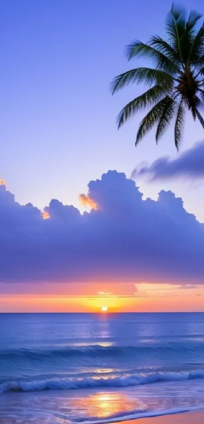 Tropical beach sunset with palm tree and vibrant ocean waves.