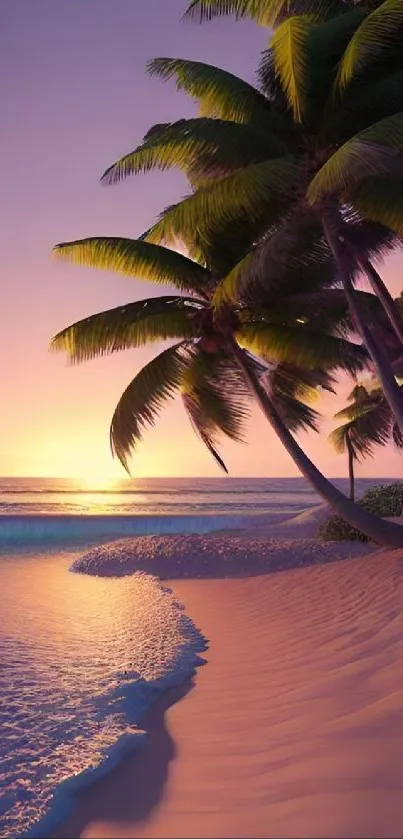 Tropical beach sunset with silhouetted palm trees and golden sky.