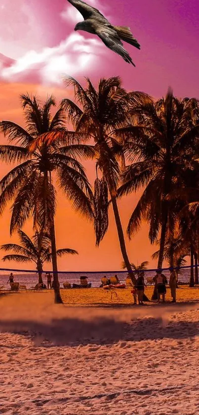Mobile wallpaper of a tropical beach at sunset with palm trees.