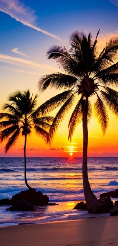 Vibrant tropical sunset beach with palm trees and colorful sky.