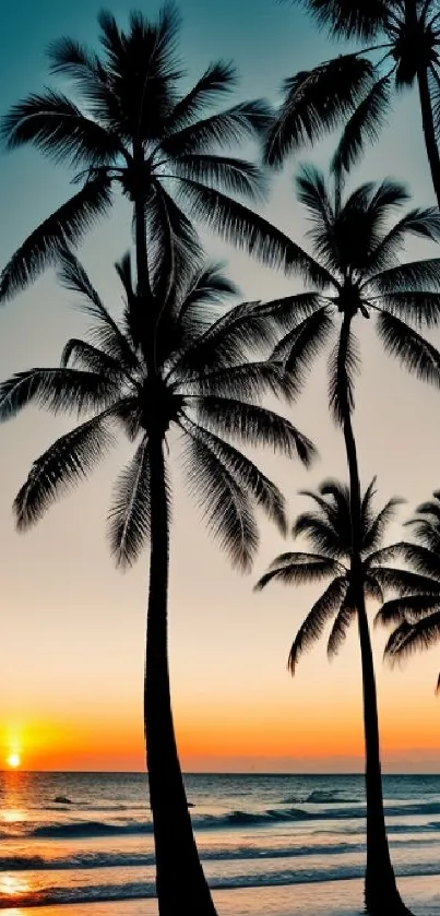 Tropical sunset with palm trees by the ocean, perfect for mobile wallpaper.