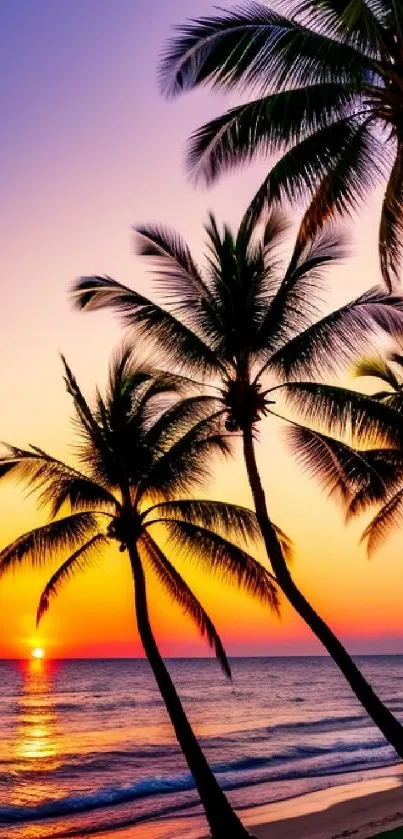 Tropical sunset with palm trees and ocean waves.