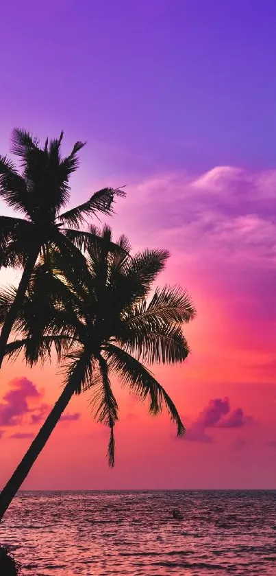 Tropical sunset with palm trees silhouetted against a vibrant purple and orange sky.