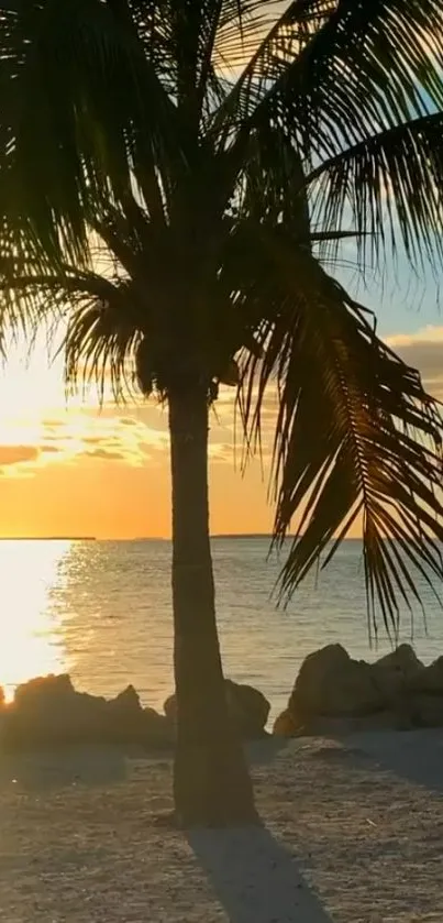 Tropical beach at sunset with palm tree silhouette and golden ocean view.