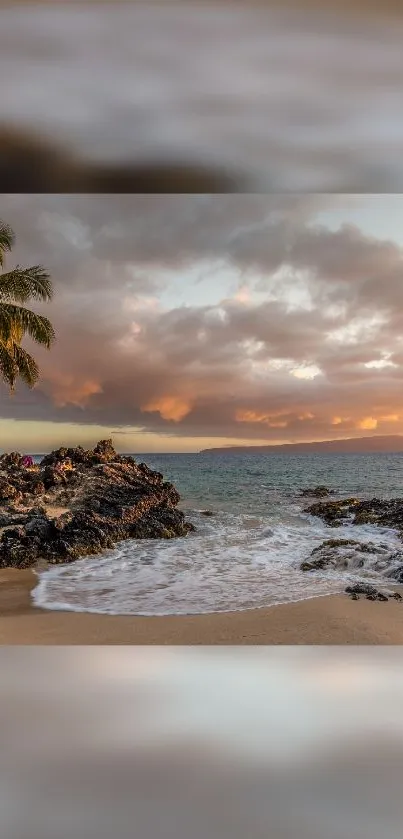 Tropical beach sunset with palm trees and ocean waves