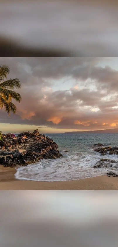 Tropical beach at sunset with palm trees and rocky shore.