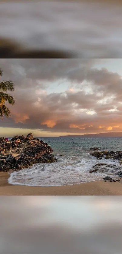 Tropical beach at sunset with palm trees and ocean waves.