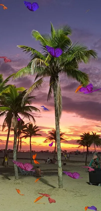 Palm trees silhouetted at sunset on a tropical beach.