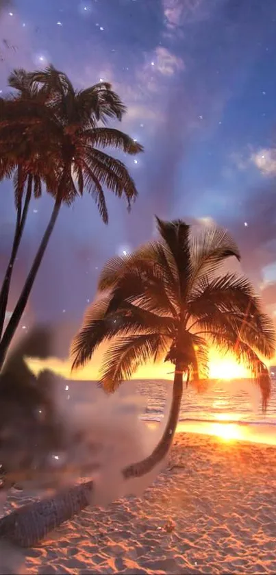 Tropical beach with palm trees at sunset, serene ocean view.