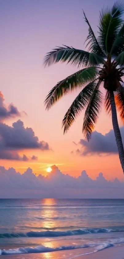 Tropical beach at sunset with palm tree under vibrant sky.