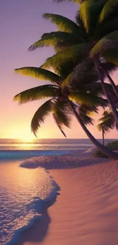 Tropical beach sunset with palm trees and pink ambiance.