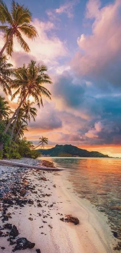 Scenic tropical beach at sunset with palm trees and vibrant sky.