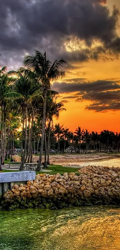 Tropical beach sunset with palm trees.