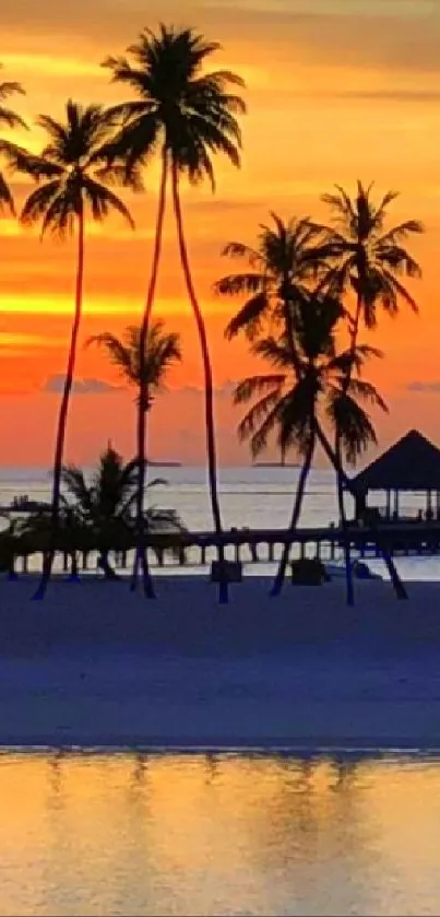 Vibrant tropical beach sunset with palm trees silhouetted against an orange sky.