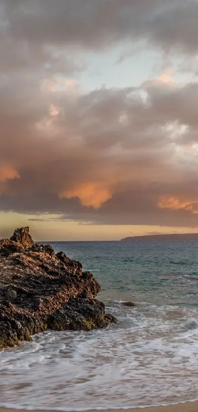 Tropical beach at sunset with palm trees and rocky shore.