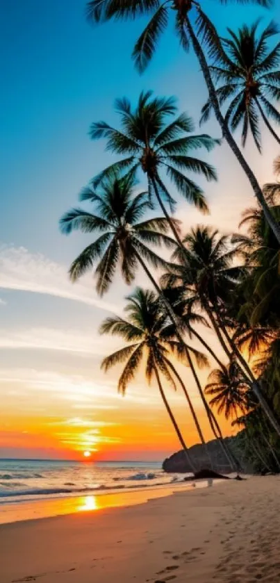 Mobile wallpaper of a tropical beach with a sunset and palm trees.