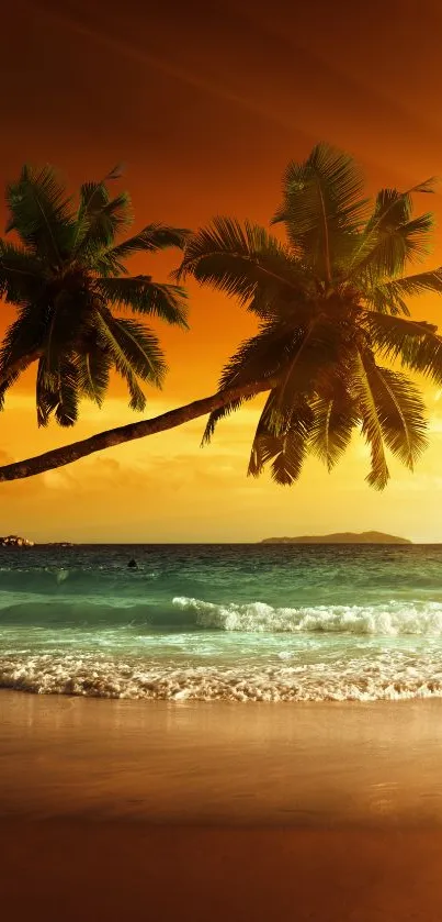 Tropical sunset beach with palm trees and orange sky.