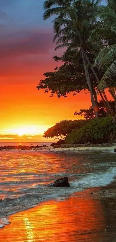 Vibrant tropical sunset beach with palm trees and orange sky.