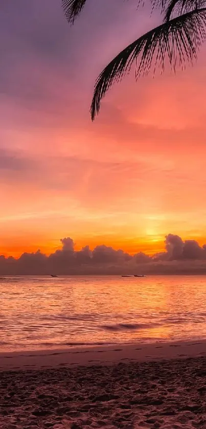 Tropical sunset beach view with palm trees in silhouette.