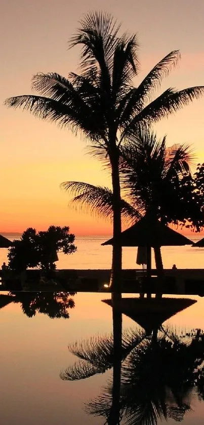 Sunset view with palm trees silhouetted against an orange beach sky.