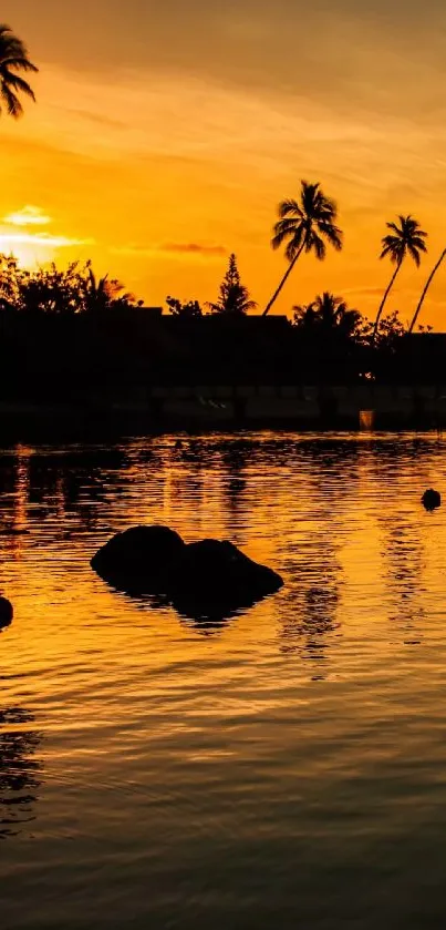 Tropical sunset with palms reflecting on tranquil water.