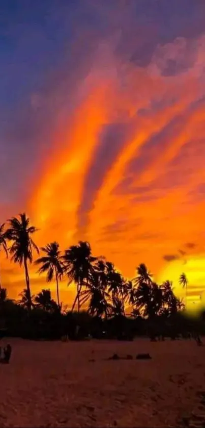 Tropical sunset with orange sky and palm trees on a sandy beach.