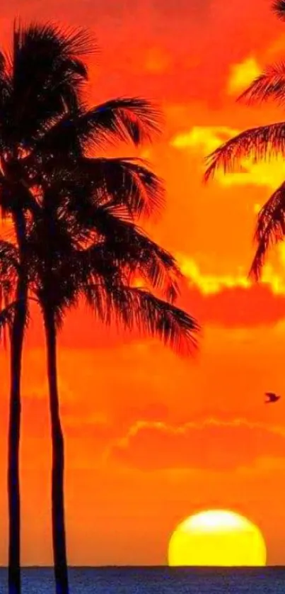 Tropical sunset with silhouetted palms and vibrant sky over the ocean.