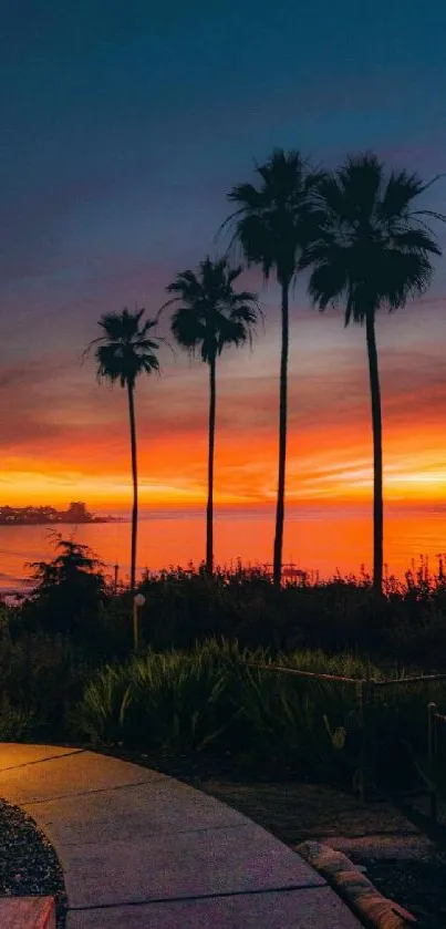 Serene tropical sunset with palms and vibrant sky.