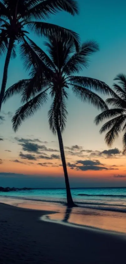 Tropical sunset with palm trees and a calm beach at twilight.