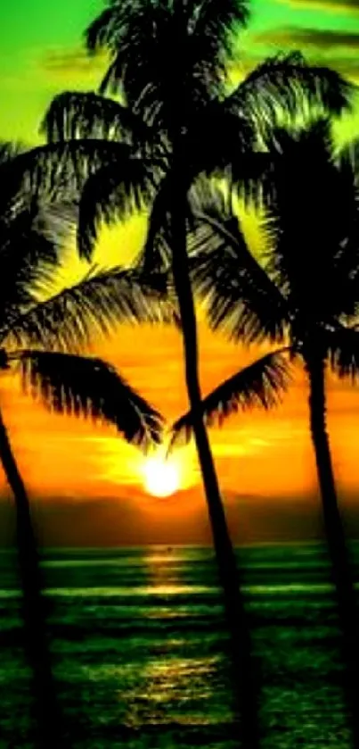 Silhouetted palm trees with a vibrant green and orange sunset over the ocean.