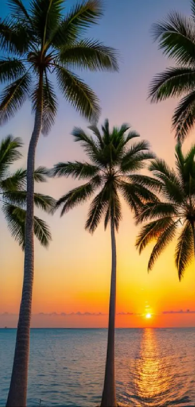 Tropical sunset with palm trees and vibrant ocean view.