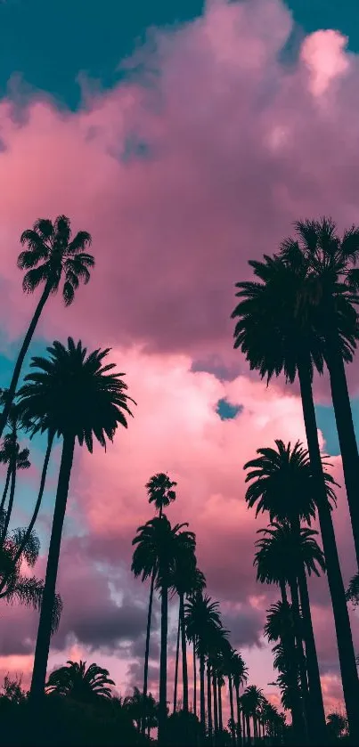 Palm trees silhouette against pink and teal sunset sky mobile wallpaper.