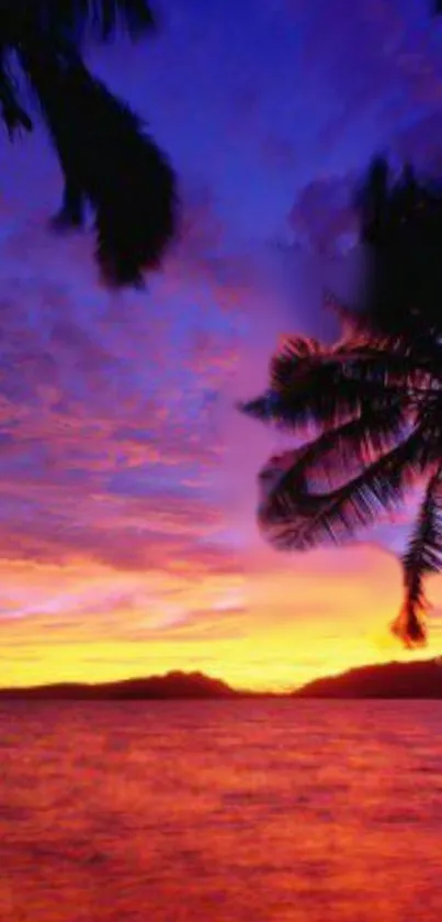 Tropical sunset with palm silhouettes and vibrant sky.