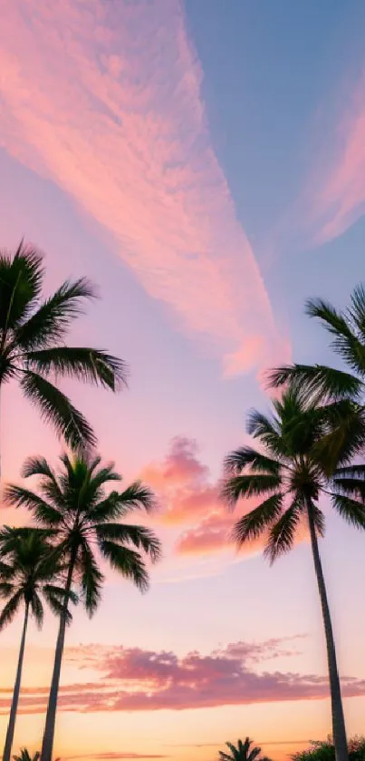 Beautiful tropical sunset wallpaper with palm trees against a pastel pink sky.