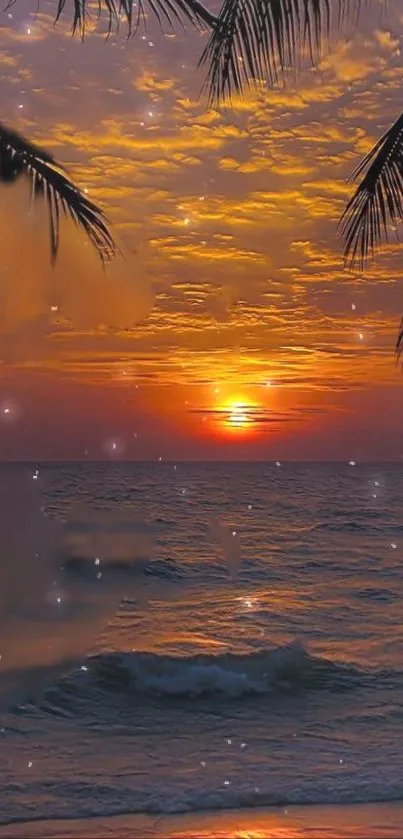 Tropical sunset with palm silhouettes and ocean view.