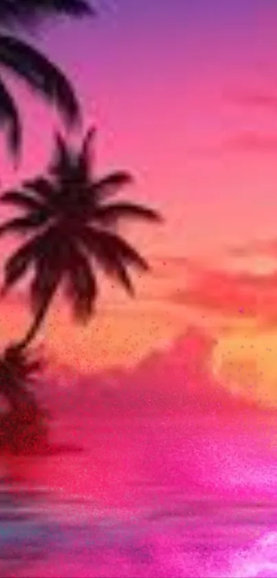 Tropical sunset wallpaper with palm silhouettes and vibrant pink hues.