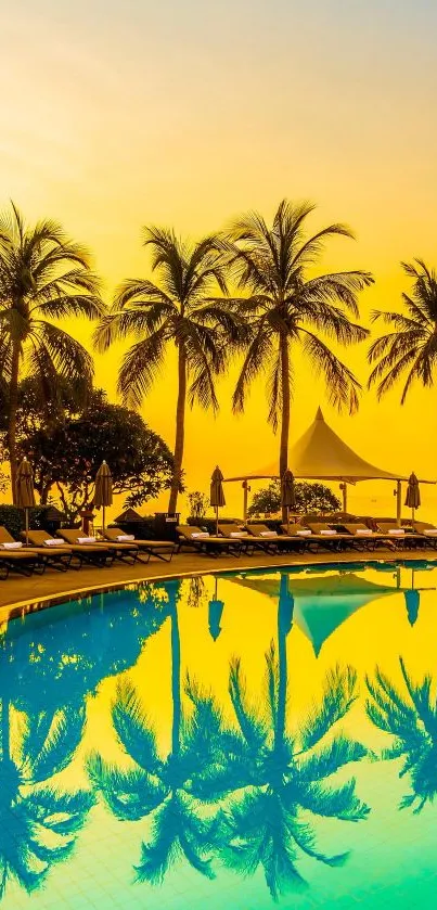 Sunset over palm trees and pool reflection creating a tranquil tropical scene.